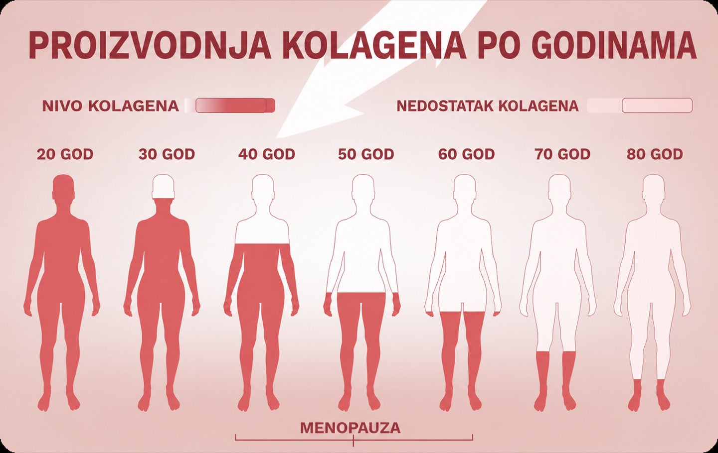 Proizvodnja kolagena po godinama